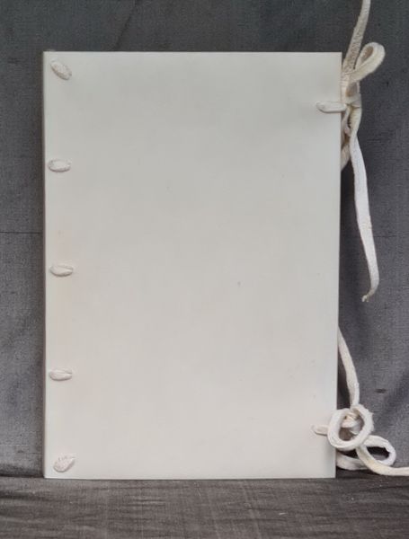 Vellum bound note book #2